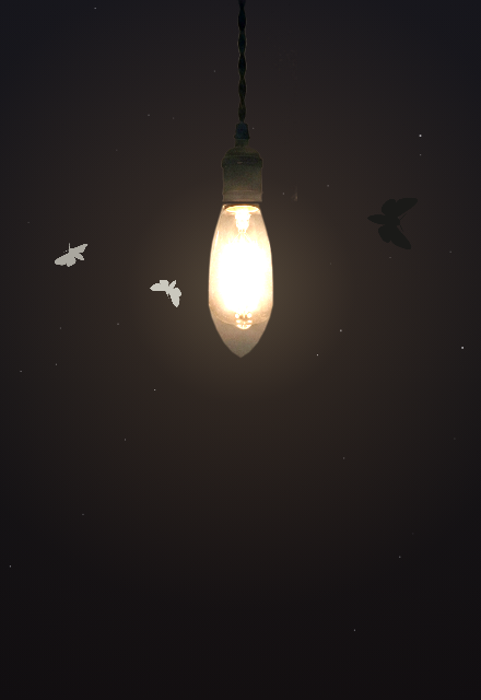 moths